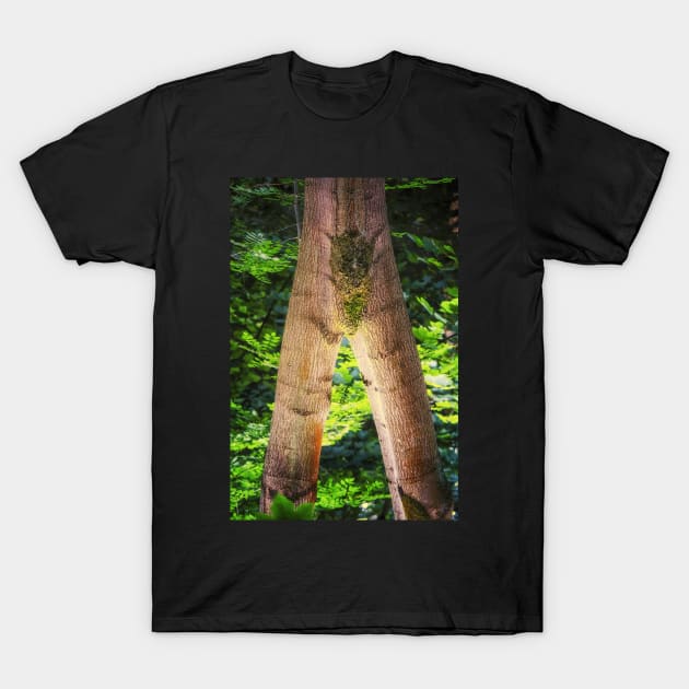 Tree legs T-Shirt by heidiannemorris